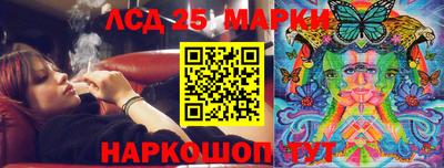 крисы Аргун