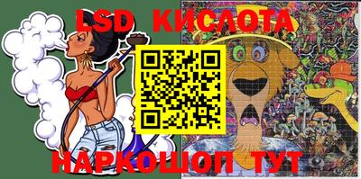 крисы Аргун