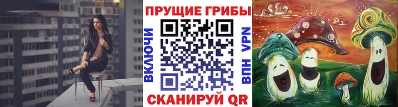 ссылка на мегу ссылка  Менделеевск  Галлюциногенные грибы Cubensis 