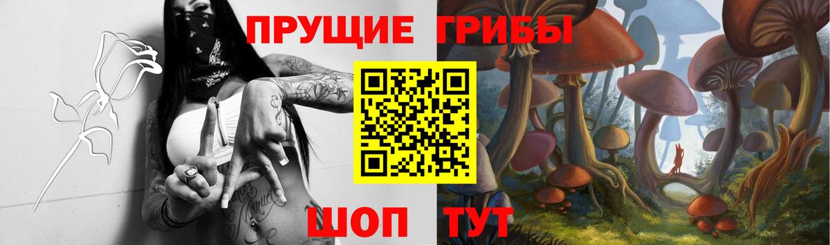 Галлюциногенные грибы прущие грибы  Менделеевск 